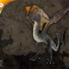 Noble Collection Game Of Thrones - Drogon Baby Dragon