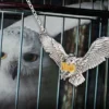 Noble Collection Hedwig - Pendant - Harry Potter