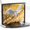 Noble Collection Hedwig - Toyllectible Treasures - Harry Potter